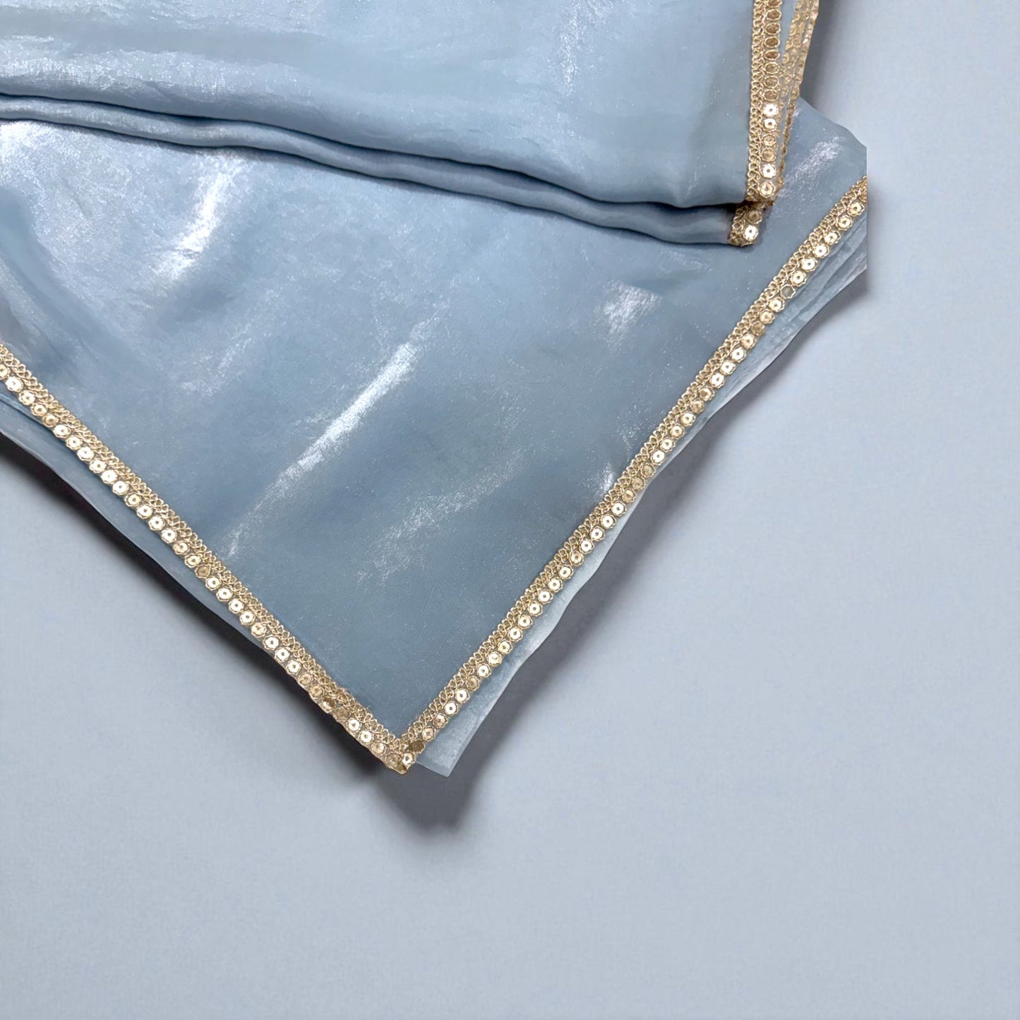 Powder Blue Shimmer Saree with Multicolor Embroidered Blouse