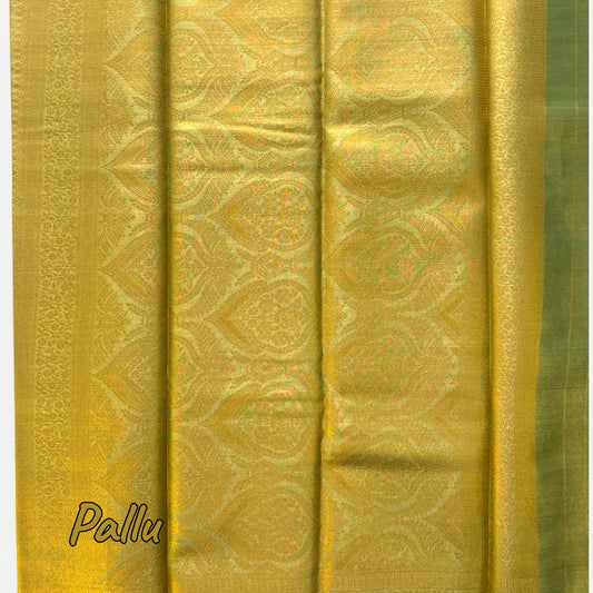 Olive-Green Tissue Saree