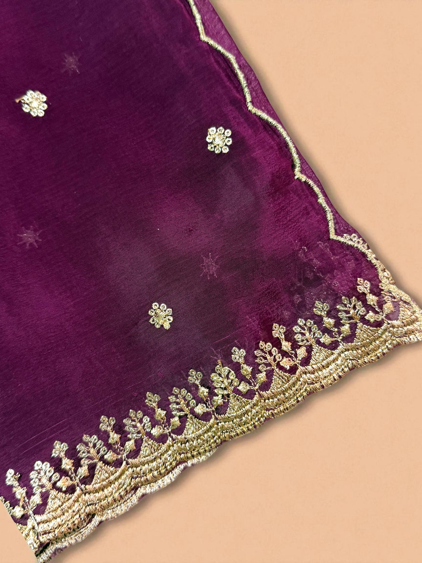 Wine colour Saree with Handcrafted Golden Zari Embroidered Blouse