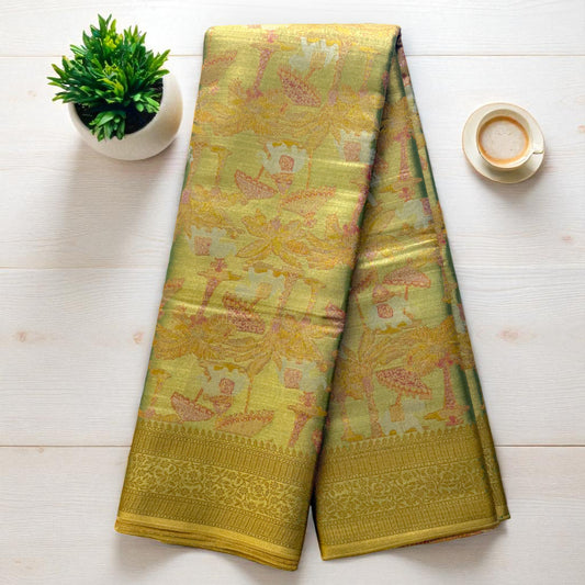 Olive-Green Tissue Saree