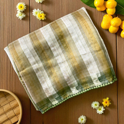 Elegant Pistachio Green Striped Organza Saree with Hand-Embroidered Floral Blouse